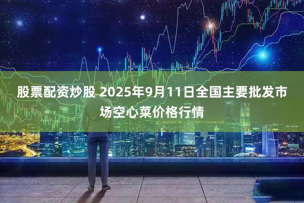 股票配资炒股 2025年9月11日全国主要批发市场空心菜价格行情