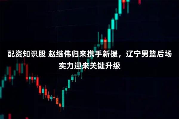 配资知识股 赵继伟归来携手新援，辽宁男篮后场实力迎来关键升级